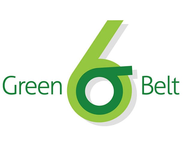 Lean Six Sigma Training: Green Belt