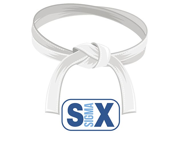 Lean Six Sigma Training: White Belt