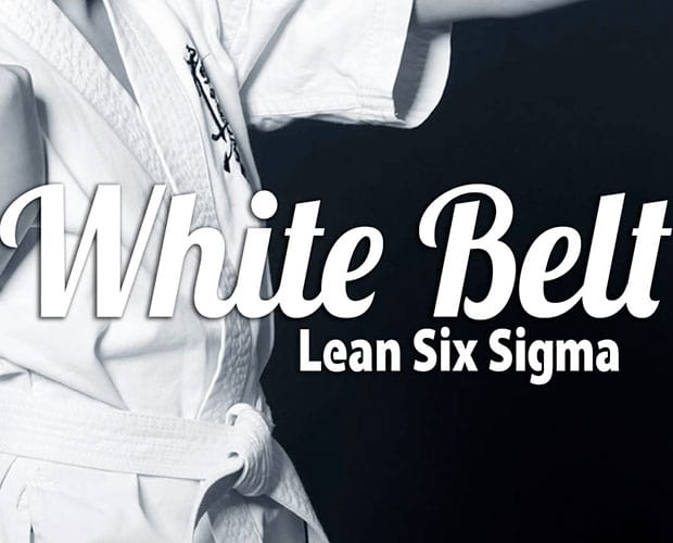 Learning Six Sigma: White Belt